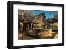 Frank Lloyd Wright Home and Studio-Steve Gadomski-Framed Photographic Print