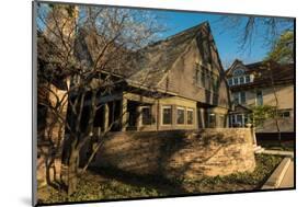 Frank Lloyd Wright Home and Studio-Steve Gadomski-Mounted Photographic Print