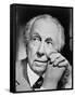 Frank Lloyd Wright Master American Architect in 1954-null-Framed Stretched Canvas