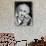 Frank Lloyd Wright Master American Architect in 1954-null-Photo displayed on a wall