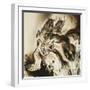 White Frame