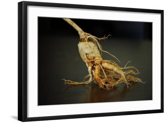 Photo, , large