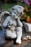 Sculpture of an Angel-Frank May-Mounted Photo