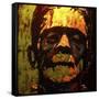 Frank N Stein 001 Touched-Rock Demarco-Framed Stretched Canvas