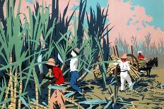 Reaping Sugar Canes in the West Indies-Frank Newbould-Giclee Print