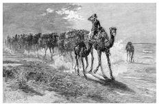 Rounding Up a Straggler on a Cattle Run, Australia, 1886-Frank P Mahony-Giclee Print