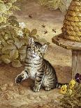 A Curious Kitten-Frank Paton-Giclee Print