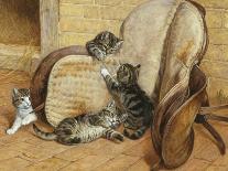 A Curious Kitten-Frank Paton-Giclee Print