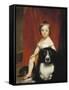 Frank S. Harding, 1843-46 (Oil on Canvas)-Chester Harding-Framed Stretched Canvas