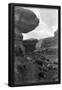 Essential Black