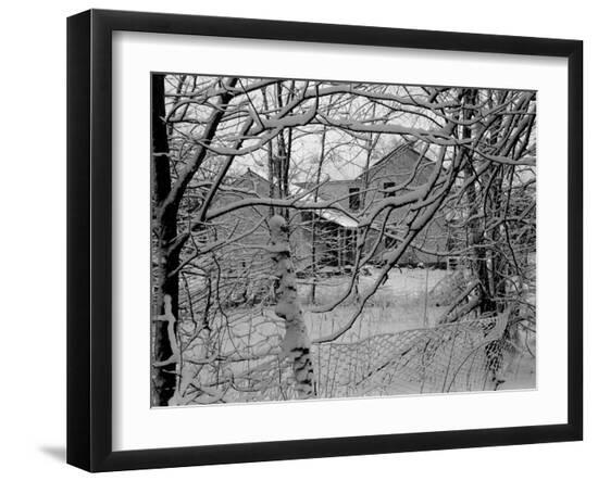 Premium Photographic Print, , large