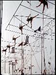 Maze of Ringling Bros. New Outdoor Rigging Supporting Trapezes and Ropes-Frank Scherschel-Photographic Print