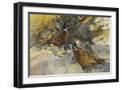 Black Frame