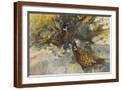 Brown Frame