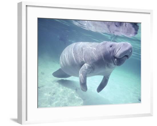 Framed Photographic Print, , large