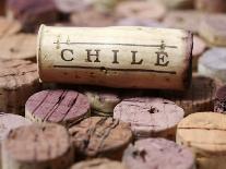 Wine Corks from Chile-Frank Tschakert-Photographic Print