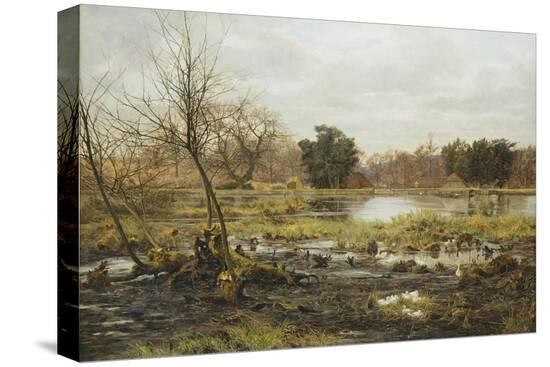Stretched Canvas Print, , large