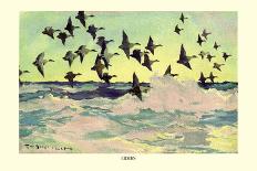 Scoters over Water, 1924 watercolor on paper-Frank Weston Benson-Giclee Print