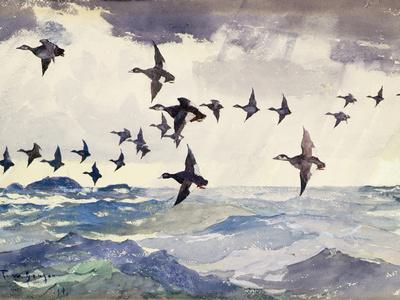 Scoters over Water, 1924 watercolor on paper
