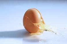 A Cracked Egg-Frank Weymann-Photographic Print