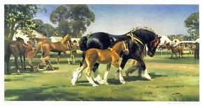 Horse Show-Frank Wootton-Limited Edition