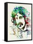 Frank Zappa-Nelly Glenn-Framed Stretched Canvas