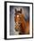 Frankel-Sarah Aspinall-Framed Art Print