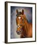 Frankel-Sarah Aspinall-Framed Art Print