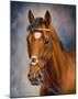 Frankel-Sarah Aspinall-Mounted Art Print