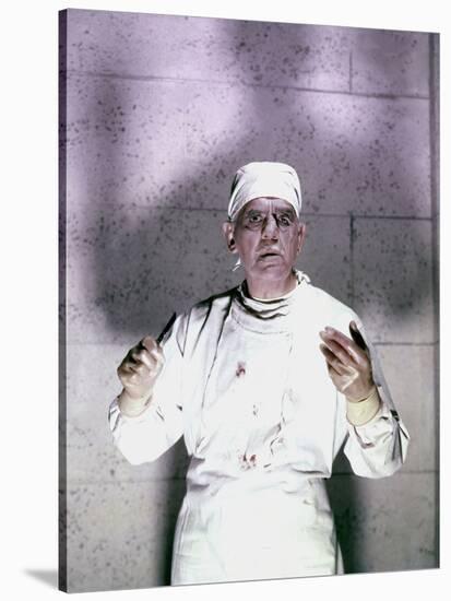 FRANKENSTE 1970 by HowardKoch with Boris Karloff, 1958 (photo)-null-Stretched Canvas