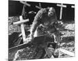 Wood Mount