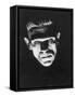 Frankenstein, Boris Karloff, 1931-null-Framed Stretched Canvas