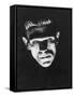 Frankenstein, Boris Karloff, 1931-null-Framed Stretched Canvas