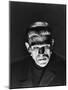 Frankenstein, Boris Karloff, 1931-null-Mounted Premium Photographic Print