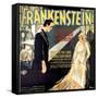 Frankenstein, Boris Karloff, Mae Clarke, 1931-null-Framed Stretched Canvas