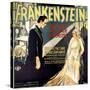 Frankenstein, Boris Karloff, Mae Clarke, 1931-null-Stretched Canvas