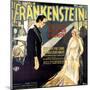 Frankenstein, Boris Karloff, Mae Clarke, 1931-null-Mounted Art Print