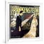 Frankenstein, Boris Karloff, Mae Clarke, 1931-null-Framed Art Print