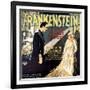 Frankenstein, Boris Karloff, Mae Clarke, 1931-null-Framed Art Print