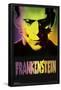 Frankenstein - Close-Up-Trends International-Framed Poster