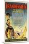 Frankenstein, Directed by James Whale, 1931-null-Mounted Giclee Print