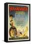 Frankenstein, Directed by James Whale, 1931-null-Framed Stretched Canvas