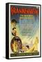 Frankenstein, Directed by James Whale, 1931-null-Framed Stretched Canvas