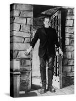 Frankenstein: Frankenstein, 1931-null-Stretched Canvas