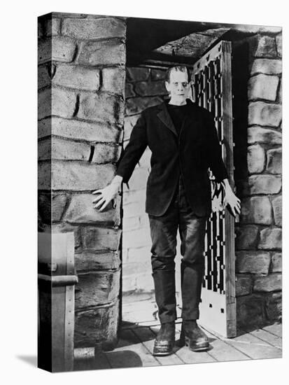 Frankenstein: Frankenstein, 1931-null-Stretched Canvas