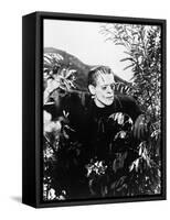 Frankenstein: Frankenstein, 1931-null-Framed Stretched Canvas