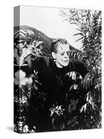 Frankenstein: Frankenstein, 1931-null-Stretched Canvas