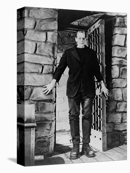 Frankenstein: Frankenstein, 1931-null-Stretched Canvas