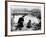 Frankenstein: Frankenstein, 1931-null-Framed Photographic Print