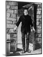 Frankenstein: Frankenstein, 1931-null-Mounted Photographic Print